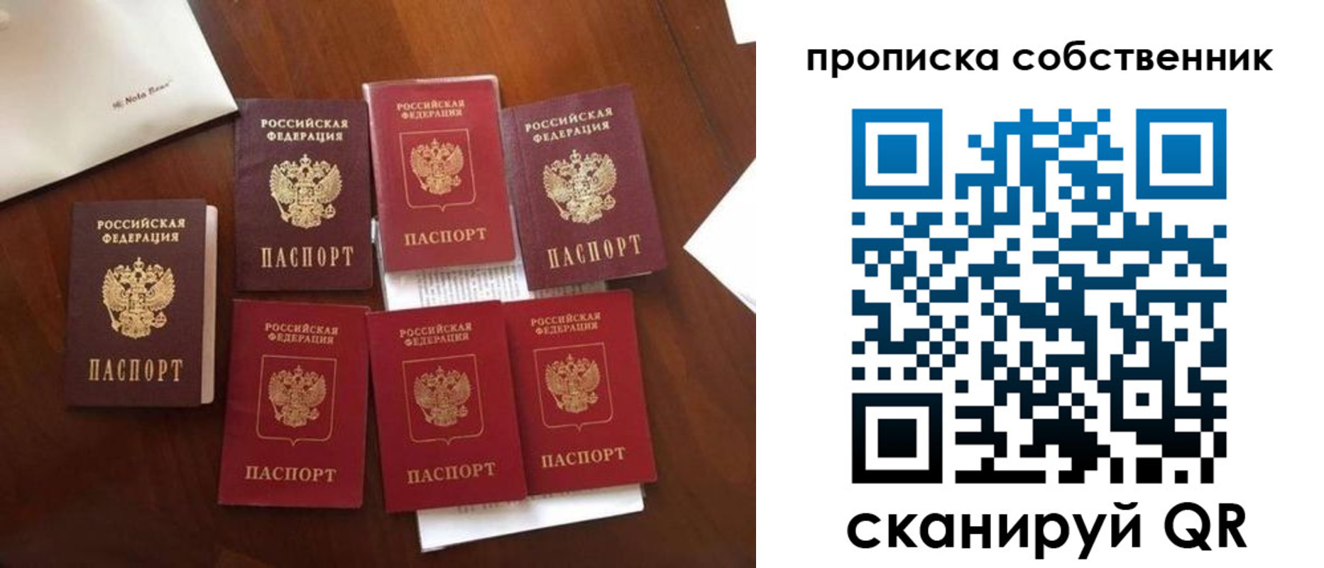 прописка для школы в Кирсанове